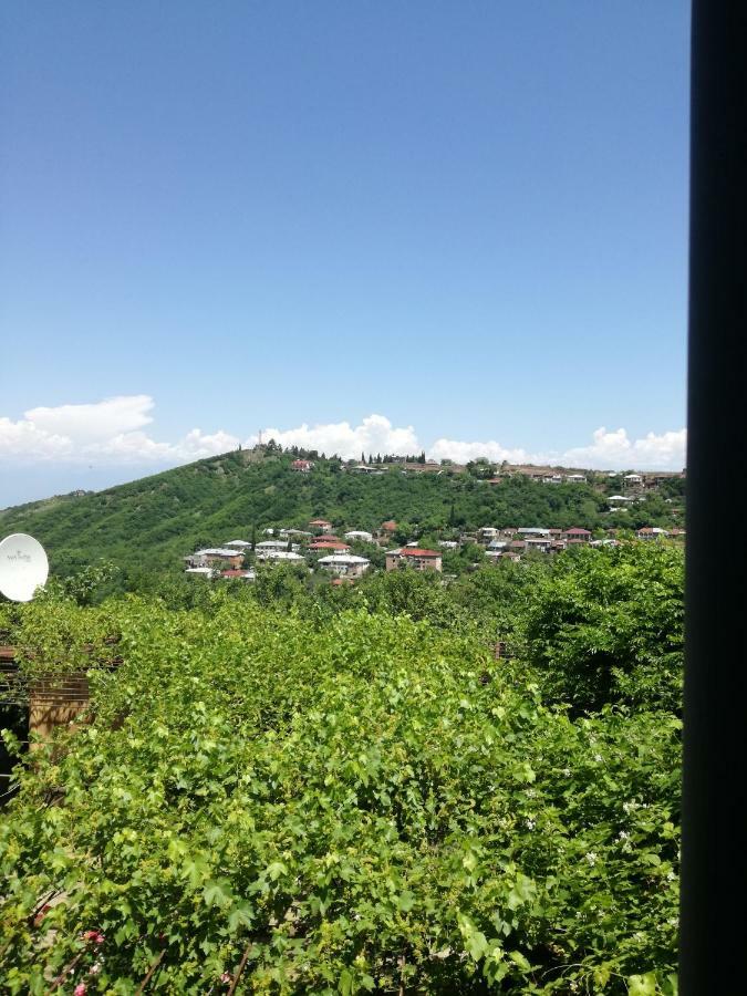 מלון סינגאני Irma מראה חיצוני תמונה